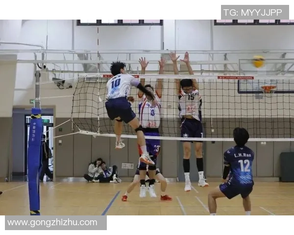 上海排球队的节奏解析与深度剖析排球运动的魅力与挑战 上海排球队的节奏解析与深度剖析排球运动的魅力与挑战