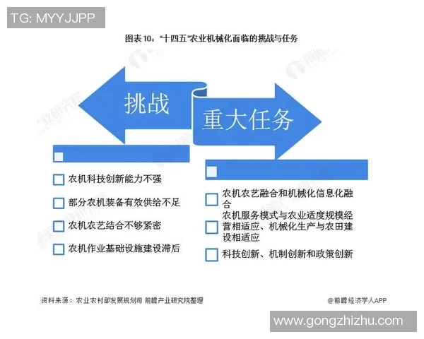 上海羽毛球队运营分析：成功经验与面临挑战的全面探讨