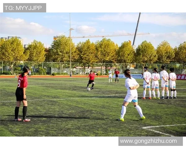 上海乒乓球队状态分析与未来发展展望的深入探讨