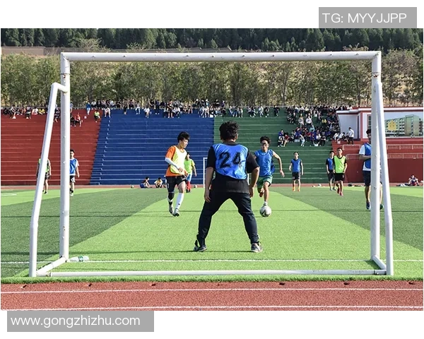 足球交接日的背后故事与未来展望：一场关于梦想与团结的盛宴