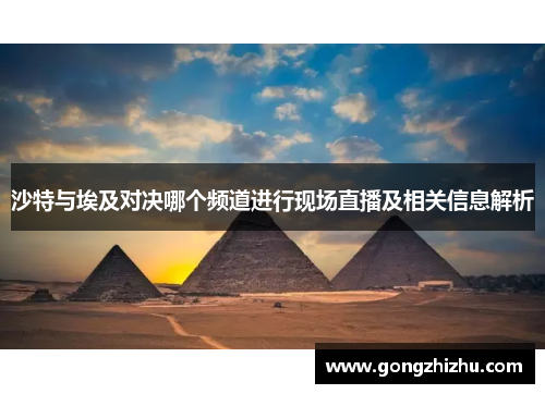 沙特与埃及对决哪个频道进行现场直播及相关信息解析